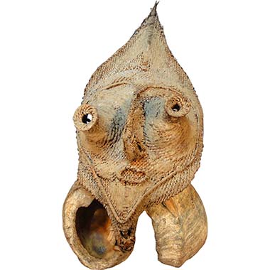 Papua New Guinea, talipun. From the Kuhn Collection. MoneyMuseum Zurich.