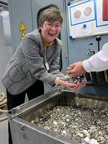 A windfall. The author Ursula Kampmann enjoys acting like Scrooge McDuck for once. Photograph: Nico Leithoff.