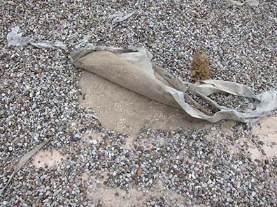 Hidden mosaic floor of the Basilica of Doumetios. Photograph: KW.