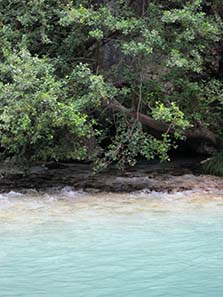 The springs of Acheron. Photograph: KW.