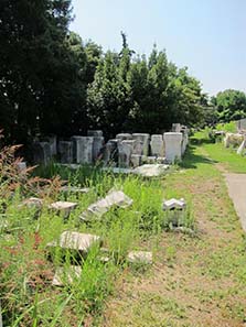 View into the museum's garden. Photograph: KW.
