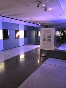 Gold of the Macedonians. Photograph: KW.