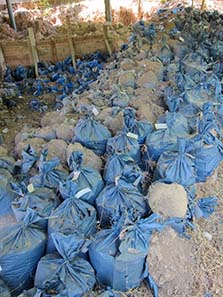 Carefully labeled bags with soil. Photograph: KW.