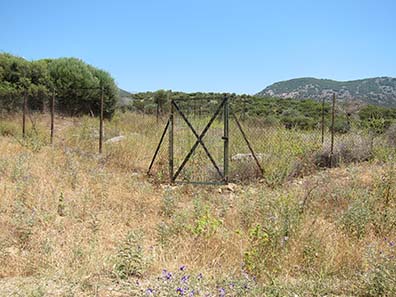 Somewhere behind the fence is a part of the 10 km long town wall. Photograph: KW.