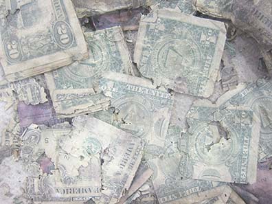Dollar notes after a water damage. Photograph: UK.
