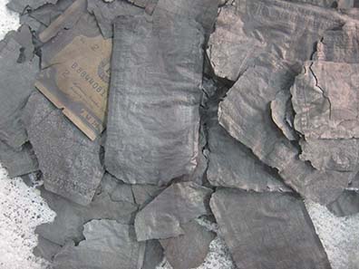 Dollar notes destroyed by fire. Photograph: UK.