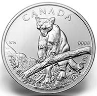 2012 silver coin