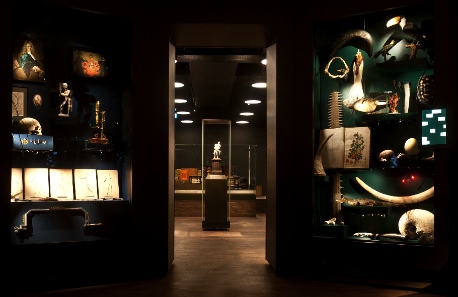 Cabinet of curiosities inside. Photo: HMB Philipp Emmel.