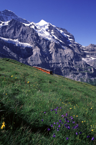 Jungfraubahn between Eigergletsch and Kleine Scheidegg, 2006. Photo: Peter Alder / Wikipedia.