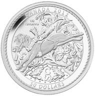 5oz silver coin.