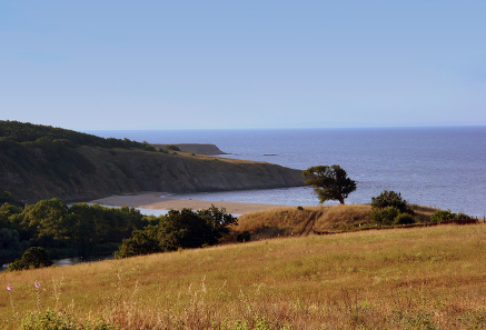 Hoard B (Sinemorets). View of Sinemorets coastline with the hoard findspot (right at the single oak tree). Photo Alex Popov/Panoramio.