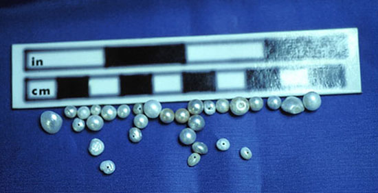 Over 6,000 pearls were recovered from the