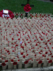 Poppies decorate the memorials in the Field of Remembrance outside London's Westminster Abbey for Remembrance Day, 2002.