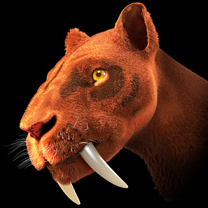 Artistic reconstruction of a sabre tooth tiger. Author: Cicero Moraes/ http://creativecommons.org/licenses/by-sa/3.0/deed.en.
