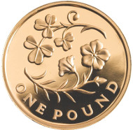 Northern Ireland issue. Great Britain/ £1/ Au 0.9167/ 19.619 g/ 22.5 mm/ Design: Ian Rank-Broadley (obverse), Timothy Noad (reverse)/ Mintage: 200.