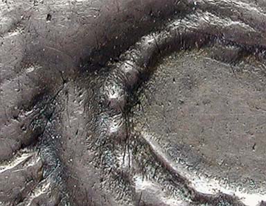 Fig. 9: Enlargement of the reverse of fig. 8 (jaws of the lion).