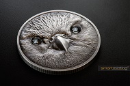 Wildlife Protection - Saker Falcon.