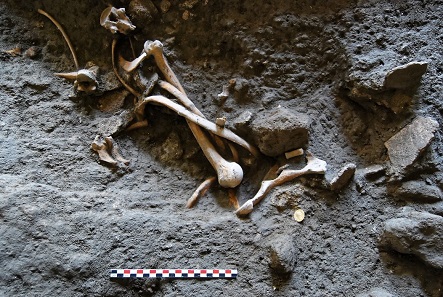The excavators have discovered bones that once belonged to four skeletons as well as other finds. Photo: UFFICIO STAMPA Soprintendenza Pompei.