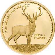 Mongolia / 1000 Togrog / Gold .9999 / 0.5 g / 11 mm / Mintage: 15,000.