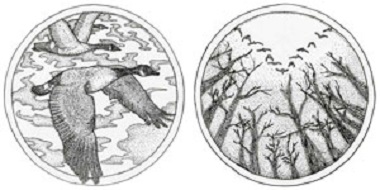 Jury’s Special Award: “The Wild Goose” by Kanta Satou.