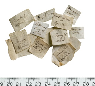 Scotney Castle, coin collection labels. © MOLA.