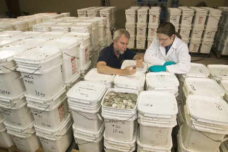 Odyssey co-founder Greg Stemm examines one of more than 500,000 coins recovered from the