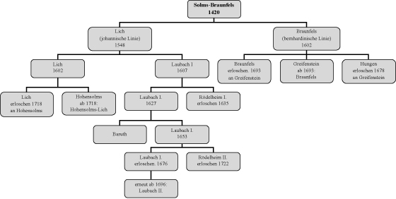 Family tree of those lineages of the House of Solms that played a role in minting.