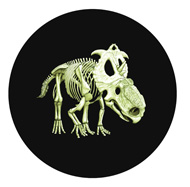 The new coin as it appears in the light and in the dark.
