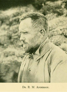 A sketch of explorer Vilhjamur Stefansson in half profile from the right, c.1915. Profile shot of Rudolph Martin Anderson, before 1921. Sources: Wikipedia.
